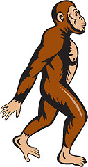 Image showing Neanderthal Man Walking Side Cartoon