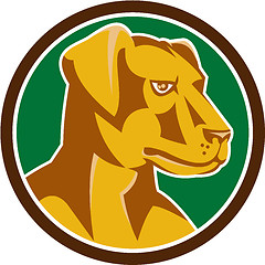 Image showing Labrador Golden Retriever Dog Head Circle Retro