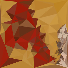 Image showing Red Ginger Abstract Low Polygon Background