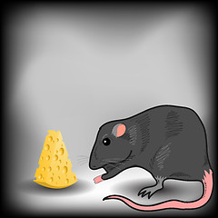 Image showing Rat and Cheese
