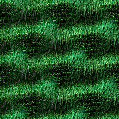 Image showing Green Lizard Skin