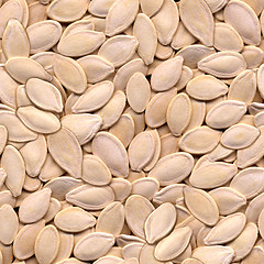 Image showing Pumpkin Seeds Seamless Background