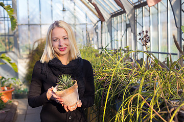 Image showing Florists woman working in greenhouse. 