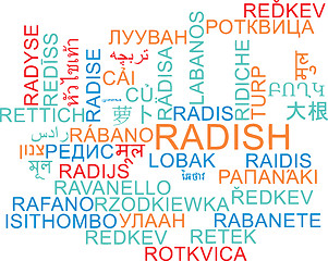 Image showing Radish multilanguage wordcloud background concept