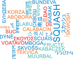 Image showing Squash multilanguage wordcloud background concept