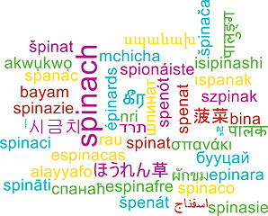 Image showing Spinach multilanguage wordcloud background concept