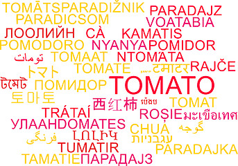 Image showing Tomato multilanguage wordcloud background concept