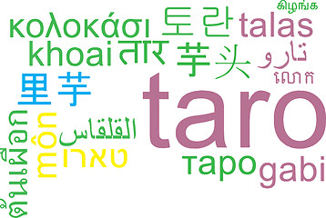 Image showing Taro multilanguage wordcloud background concept