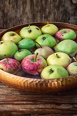 Image showing few small apples