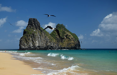 Image showing Crystalline sea beach in Fernando de Noronha, Brazil