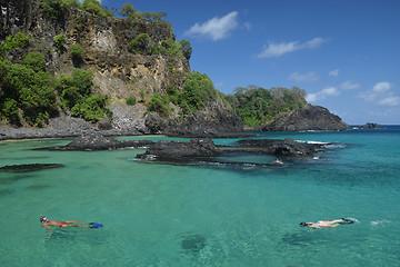 Image showing Diving in a crystalline sea beach in Fernando de Noronha,Brazil