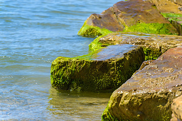 Image showing Seascape