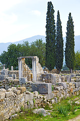 Image showing volubilis in morocco africa the old cypress