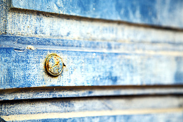 Image showing stripped   in   blue wood door and rusty nail