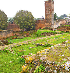 Image showing chellah  in morocco africa the old roman deteriorated monument a