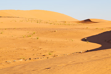 Image showing sunshine in the  dune