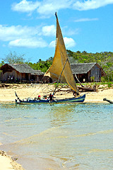 Image showing pirogue beach seaweed in indian ocean  house  people   