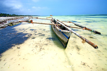 Image showing zanzibar beach  seaweed in indian ocean  