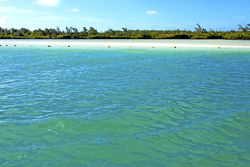 Image showing beach ile du cerfs seaweed in indian  n   sand isle  sky  rock