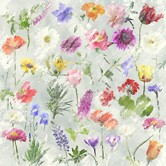 Image showing Flowers Watercolor