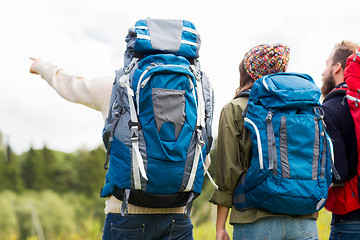 Image showing group of friends with backpacks hiking