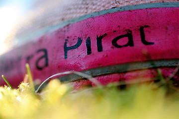 Image showing pink pirat