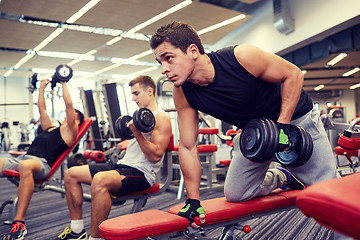 Image showing group of men with dumbbells in gym