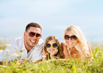 Image showing happy family with blue sky and green grass