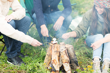 Image showing close up of hikers roasting marshmallow on fire