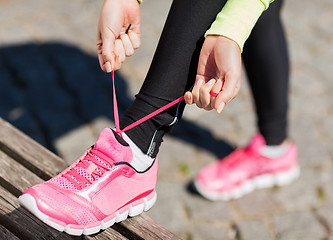 Image showing runner woman lacing trainers shoes