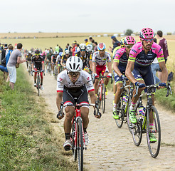 Image showing The Peloton on a Cobblestoned Road - Tour de France 2015