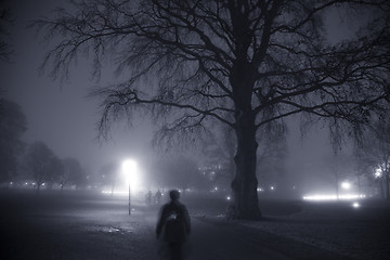 Image showing Foggy evening in the park.