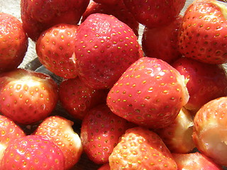 Image showing Strawberry