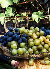 Image showing ripe grapes 