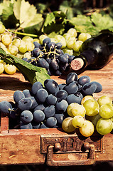 Image showing ripe grapes 