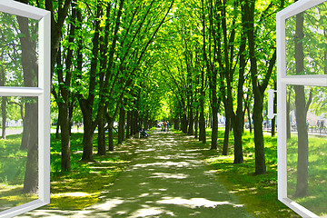 Image showing window opened to beautiful park with green trees