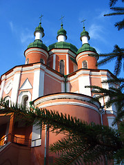 Image showing Beautiful church and branches of spruce