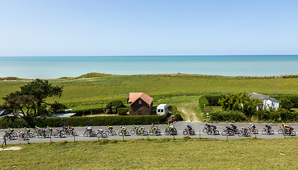 Image showing The Peloton in Normandy - Tour de France 2015