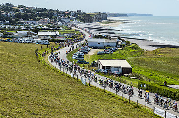 Image showing The Peloton in Normandy - Tour de France 2015