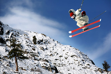 Image showing Skiing