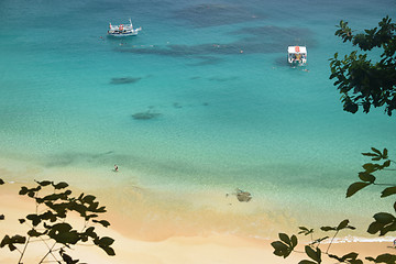 Image showing Crystalline sea beach in Fernando de Noronha, Brazil