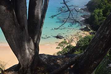 Image showing Crystalline sea beach in Fernando de Noronha, Brazil