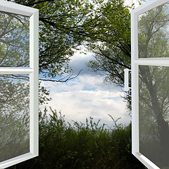 Image showing opened window to the summer