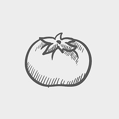 Image showing Tomato sketch icon