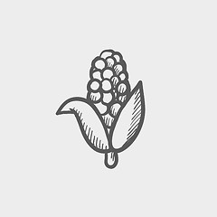 Image showing Corn sketch icon