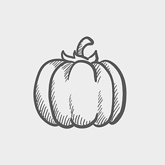 Image showing Squash sketch icon