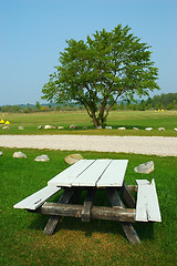 Image showing Picnic Grove