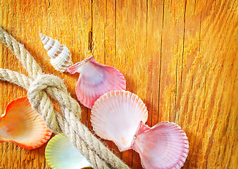 Image showing shells on wooden background