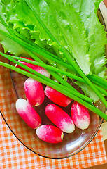 Image showing radish and salad