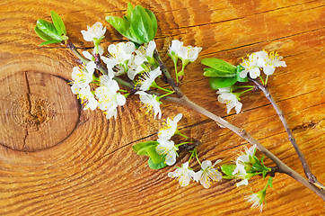 Image showing flowers on wooden background